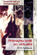 Pronajmu svět, zn. virtuální: Nemůže být nikdy tma dokud monitory září - Kniha