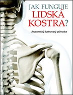 Jak funguje lidská kostra? - Kniha