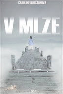 Kniha V mlze - Kniha