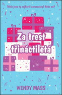 Za trest třináctiletá: Willow Falls Series 3 - Kniha