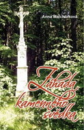 Kniha Záhada kamenného svědka - Kniha