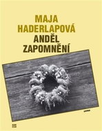 Anděl zapomnění - Kniha