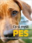 Co si myslí pes: Úplný pohled na chování vašeho psa - Kniha
