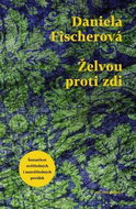 Želvou proti zdi - Kniha
