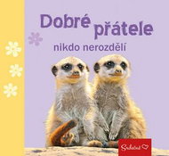 Dobré přátele nikdo nerozdělí - Kniha