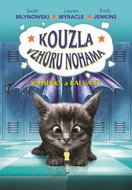 Kouzla vzhůru nohama: Kamínky a balvany - Kniha