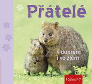 Přátelé v dobrém i ve zlém - Kniha