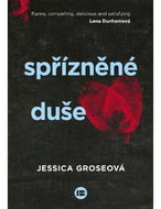 Spřízněné duše - Kniha