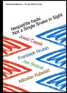 Nespatříte hada / Not a Single Snake in Sight: Josef Čapek, František Hrubín, Jan Skácel, Miloslav K - Kniha