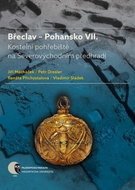 Břeclav Pohansko VII: Kostelní pohřebiště na Severovýchodním předhradí - Kniha