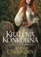 Králova konkubína: Od temných začátků až ke královskému dvoru - Kniha