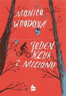 Jeden kluk z milionu - Kniha