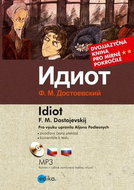 Idiot - Kniha