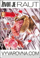 Život je raut: vyvyrovna.com - Kniha