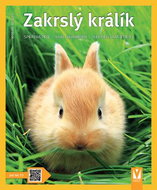 Zakrslý králík - Kniha