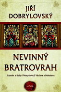 Nevinný bratrovrah - Kniha