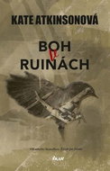 Boh v ruinách - Kniha