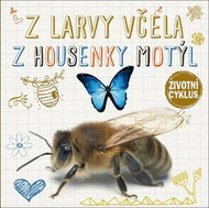 Z larvy včela Z housenky motýl: Životní cyklus - Kniha