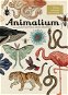 Animalium: Vítáme vás v muzeu - Kniha