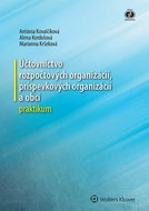 Účtovníctvo rozpočtových organizácií, príspevkových organizácií a obcí - Kniha