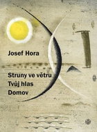 Struny ve větru Tvůj hlas Domov - Kniha
