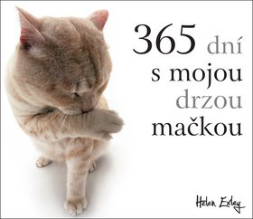 365 dní s mojou drzou mačkou - Kniha - Main image
