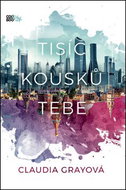 Tisíc kousků tebe - Kniha