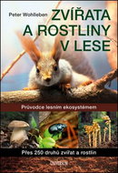Zvířata a rostliny v lese: Průvodce lesním ekosystémem - Kniha