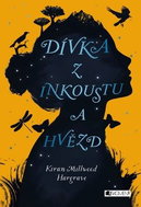 Dívka z inkoustu a hvězd - Kniha