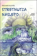 Stretnutia naslepo - Kniha