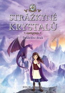 Strážkyně krystalů Poslední drak - Kniha