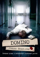 Domino: Švédská krimi o nebezpečně rozehrané partii - Kniha