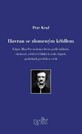 Havran se zlomeným křídlem - Kniha