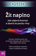 Žít naplno: Jak objevit hravost a zbavit se pocitu viny - Kniha