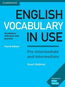 English Vocabulary in Use: Pre-intermediate and Intermediate with answers - Kniha