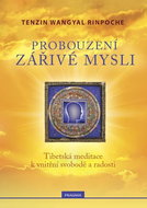 Probouzení zářivé mysli - Kniha