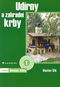 Udírny a zahradní krby: Domácí dílna 1 - Kniha