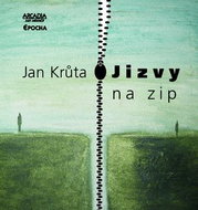 Jizvy na zip: Bylo-debilo - Kniha
