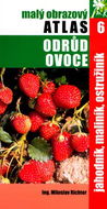 Jahodník, maliník, ostružiník: 6. - Kniha
