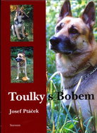Toulky s Bobem - Kniha