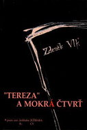 Tereza a mokrá čtvrť - Kniha