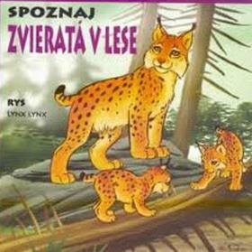 Leporelo - Spoznaj  Zvieratá  v lese - Kniha - Main image