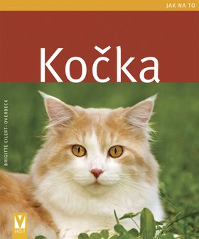 Kočka - Kniha - Main image