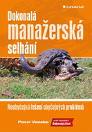 Dokonalá manažerská selhání: Neobyčejná řešení obyčejných problémů - Kniha
