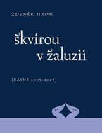 Škvírou v žaluzii: [Básně 2005 - 2007] - Kniha