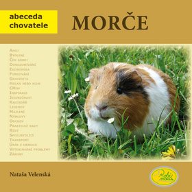 Morče - Kniha - Main image