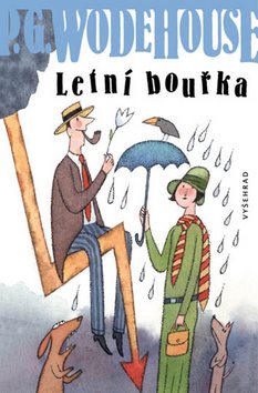 Letní bouřka - Kniha - Main image