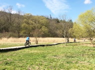 A private cycling trip through the Divoká Šárka valley - Printed Voucher