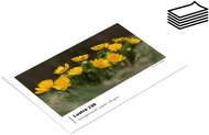 FOMEI Lustre 230 A4/50 semi-gloss - Photo Paper