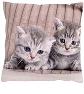 4sleep Pillowcase 40 × 40 cm, zipped velour - Kittens - Pillowcase
